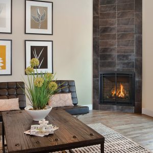 Direct Vent Gas Fireplace Bayport by Kozy Heat is Available in Our Showroom 2