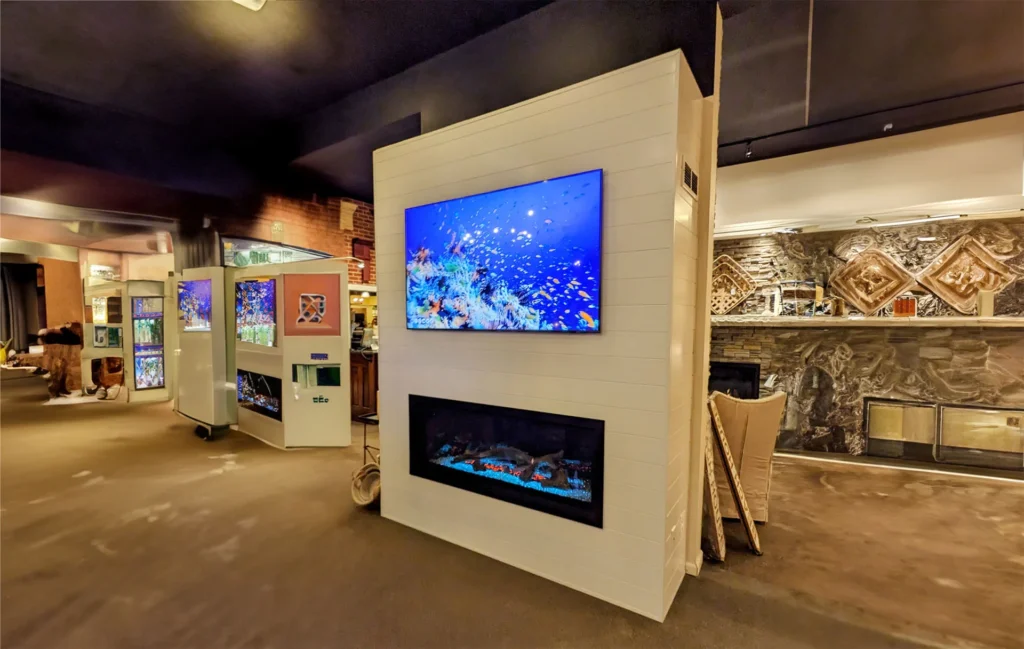 Mendota ML54 - FullView Decor Linear Gas Fireplace