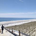 LBI Region November Events 2025
