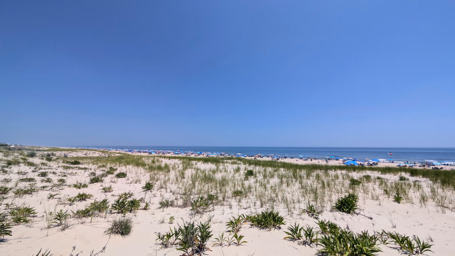 What Is Happening on LBI This Weekend, July 10 to 12, 2026?